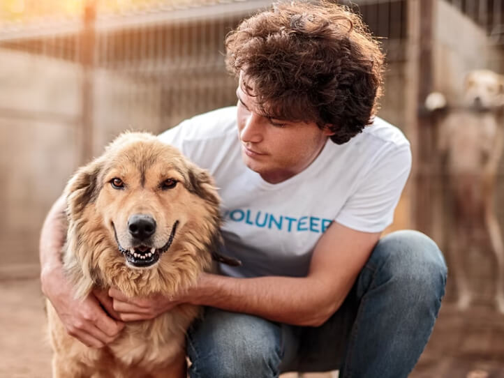 Last year's adoption festival